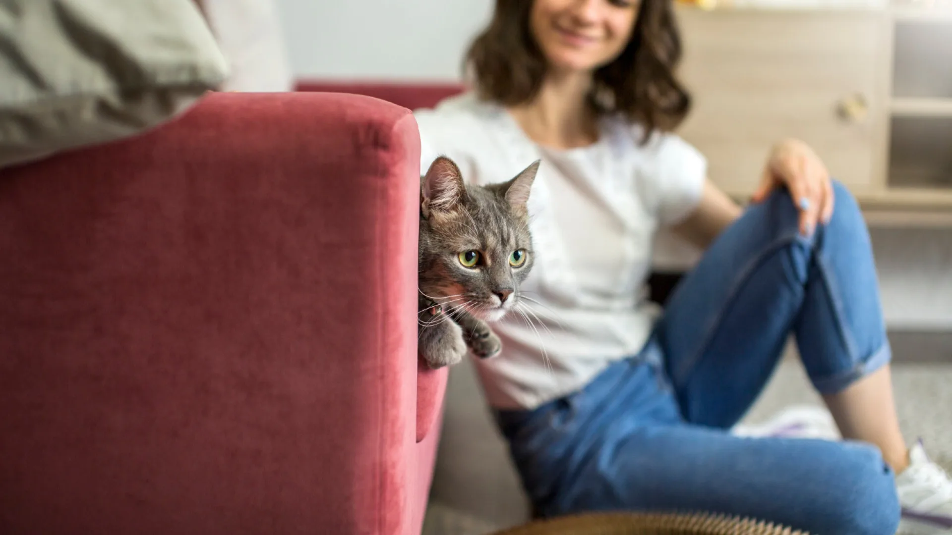Les avantages du cat sitting : pourquoi votre chat préfère rester à domicile ?
