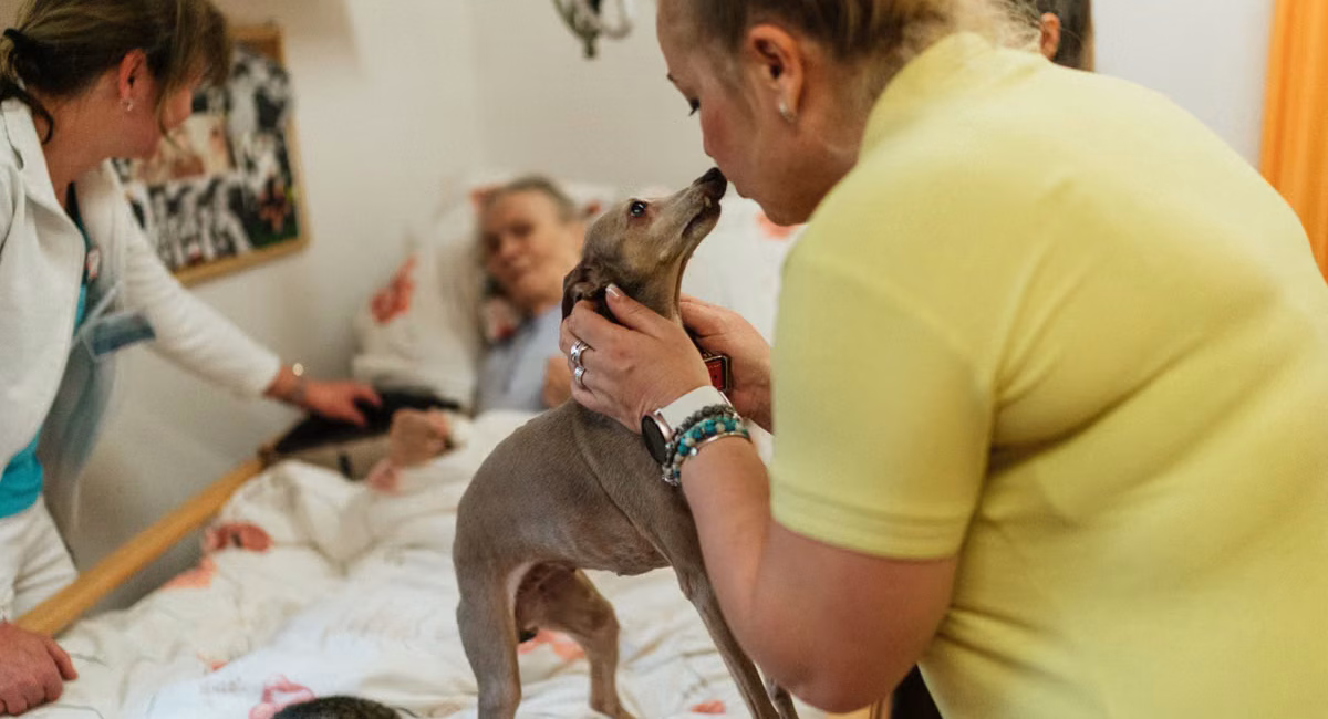 Animaux de compagnie et santé mentale : l'investissement qui sauve