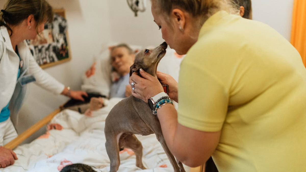 Animaux de compagnie et santé mentale : l'investissement qui sauve