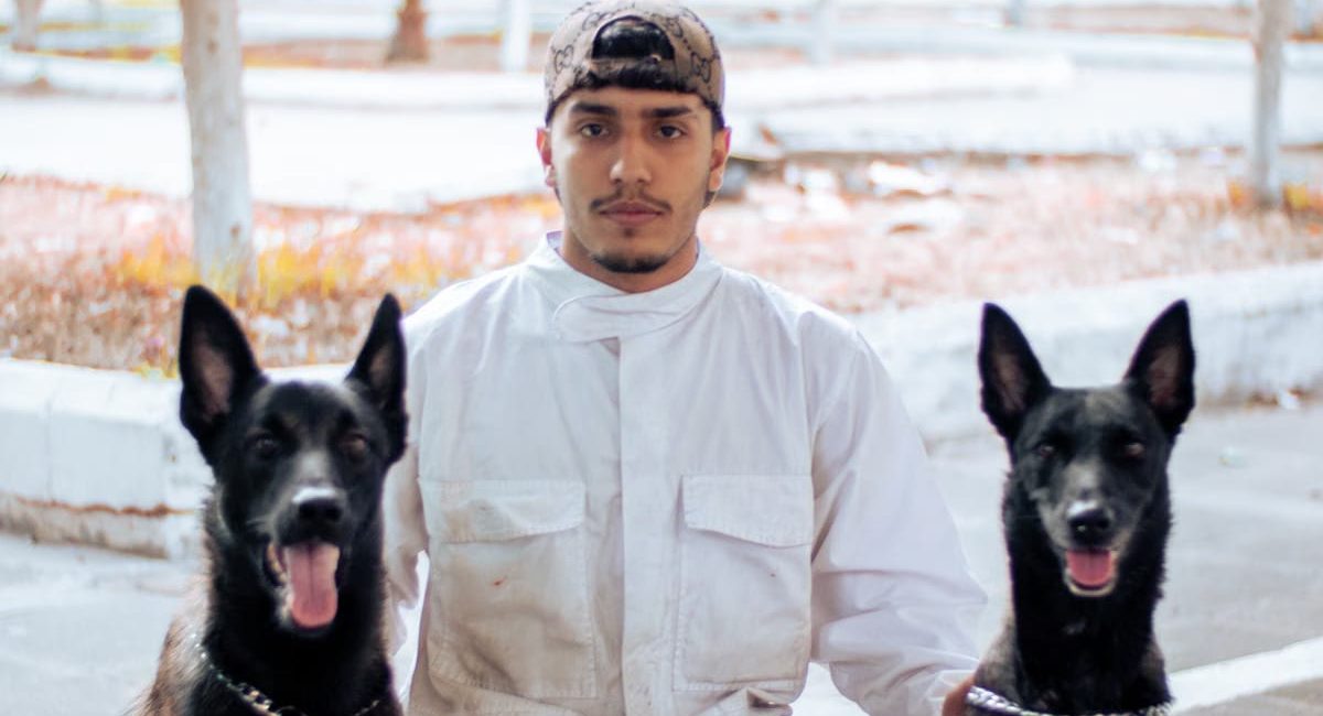 Choisir un service de garde pour chien en 2026 : le guide complet