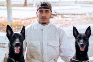 Choisir un service de garde pour chien en 2026 : le guide complet