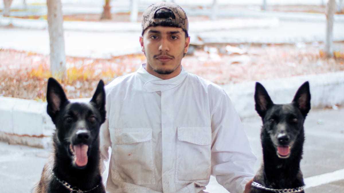 Choisir un service de garde pour chien en 2026 : le guide complet