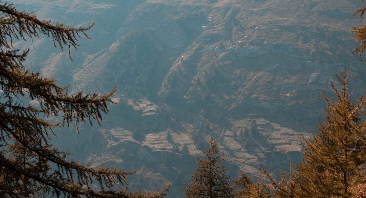 Les balades en nature réduisent l'anxiété de 30% selon la science