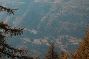 Les balades en nature réduisent l'anxiété de 30% selon la science