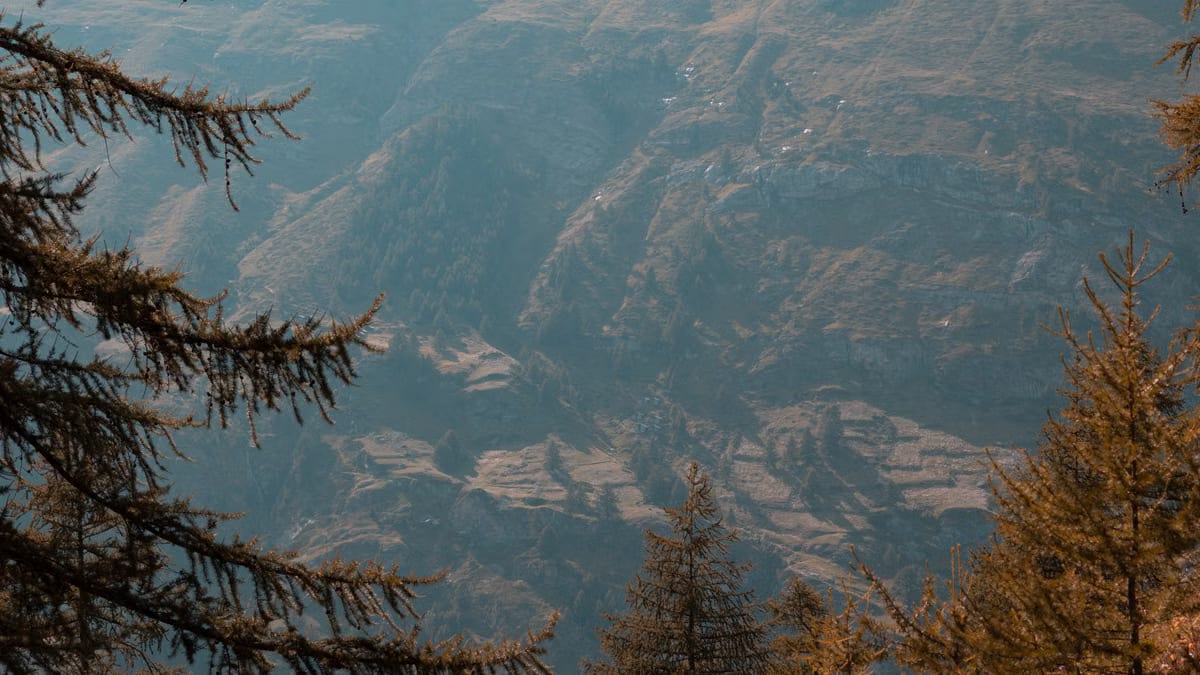 Les balades en nature réduisent l'anxiété de 30% selon la science