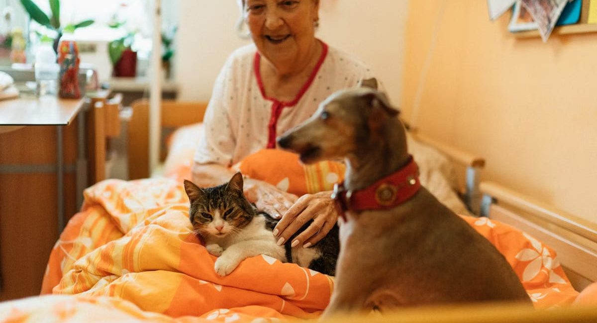 Les thérapies assistées par les animaux transforment la santé en 2026