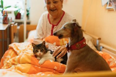 Les thérapies assistées par les animaux transforment la santé en 2026