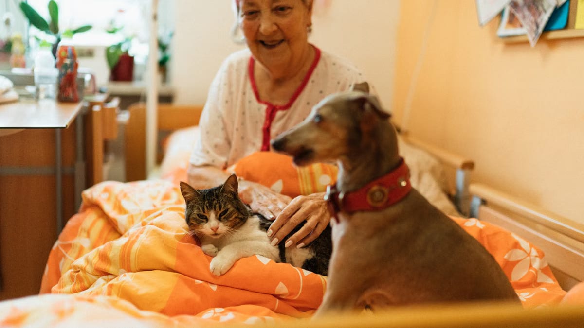 Les thérapies assistées par les animaux transforment la santé en 2026