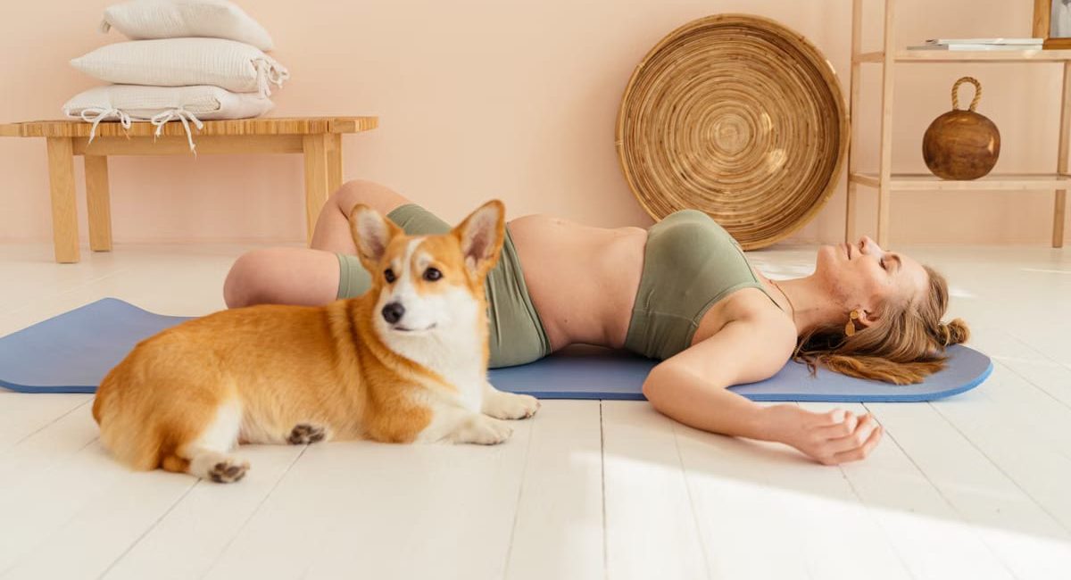 Méditation propriétaires chiens 2026: sérénité partagée
