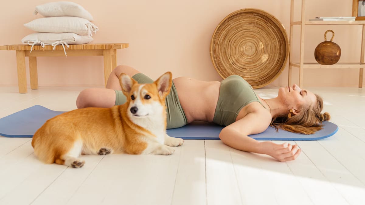 Méditation propriétaires chiens 2026: sérénité partagée